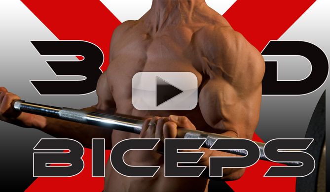 3D BICEPS