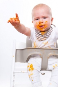 baby food diet