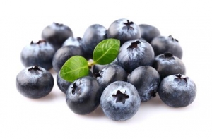 antioxidants for weight loss