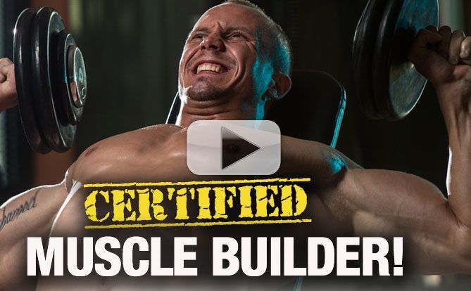 how-to-gain-muscle-yt-40-pl