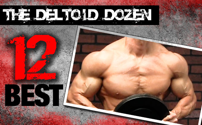 12 best shoulder exercises the deltoid dozen