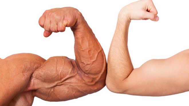 DO NOT READ THIS REPORT IF YOU WANT SMALL BICEPS!