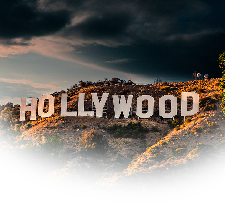 Hollywood Built Body