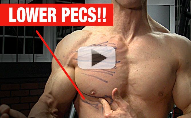 lower-pecs-and-chest-exercise-yt-pl