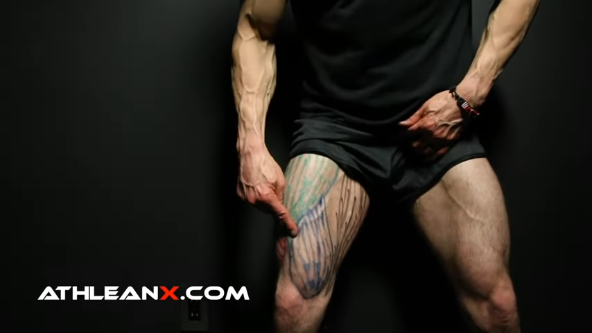 vastus medialis