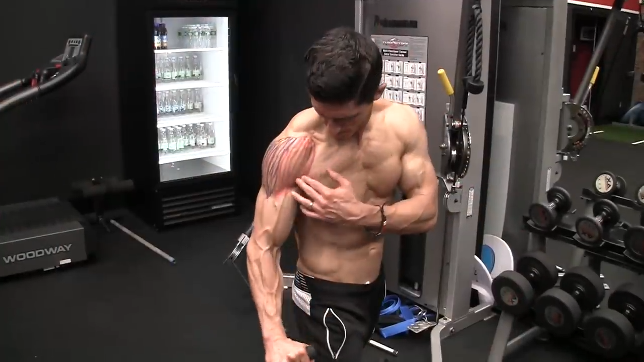 front delt raise shoulder exercise