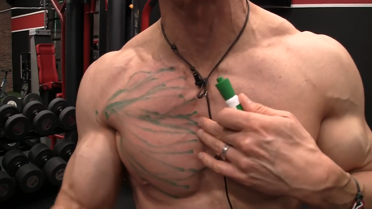 upper chest muscle fibers