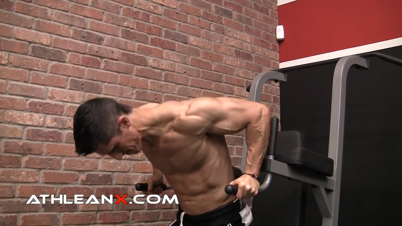 weighted dip chest exercise