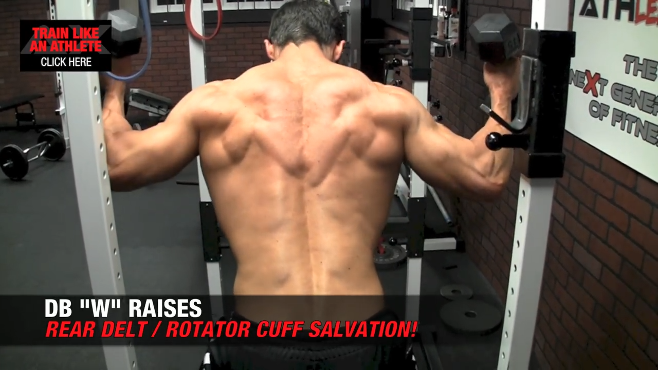 dumbbell w raises for rotator cuff