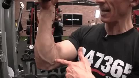 Forearm Workouts