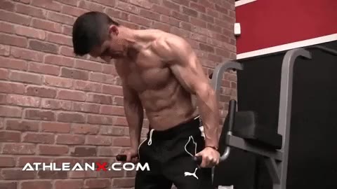 Chest Workouts