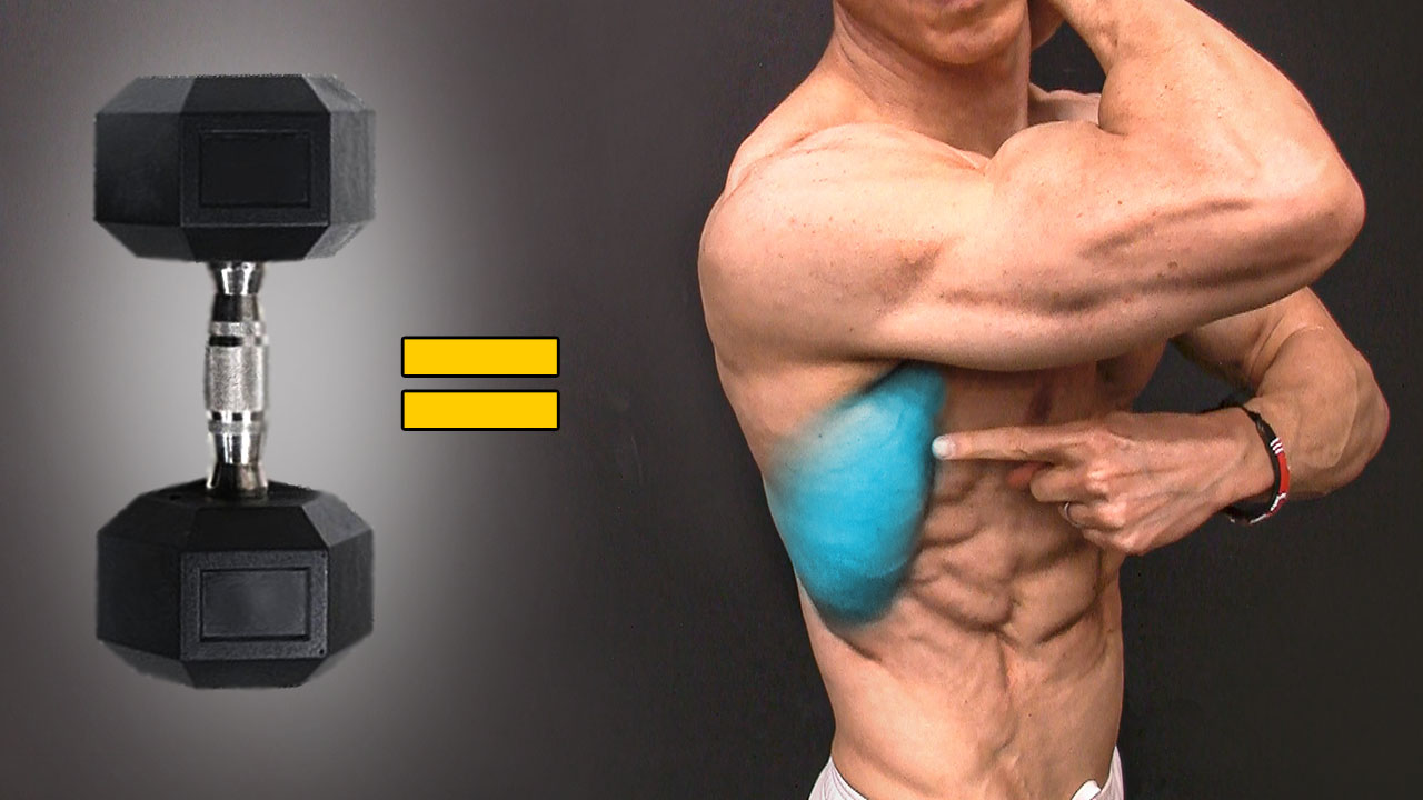 best dumbbell exercises for back