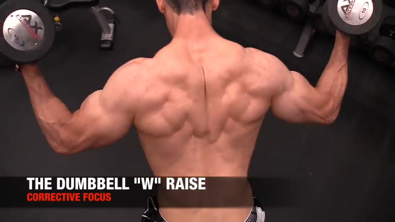 7 Best Dumbbell Back Exercises