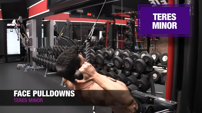 face pulldowns