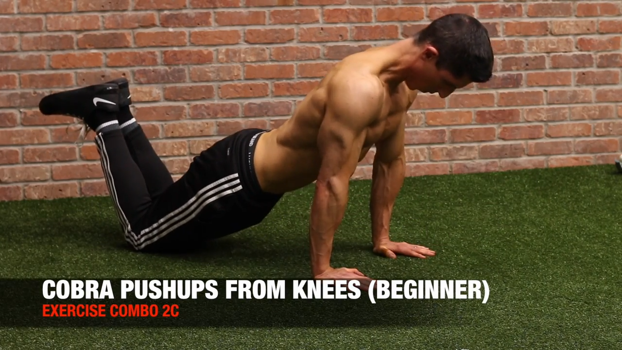 knee cobra pushups