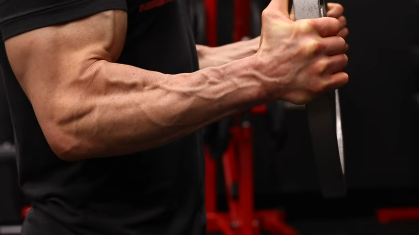 brachioradialis in neutral position