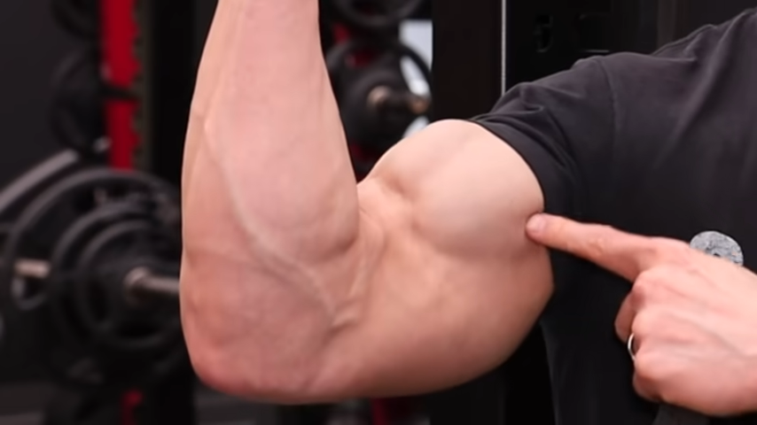 short head of biceps