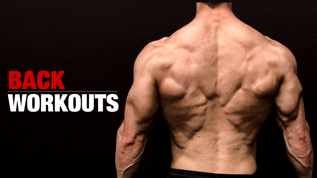 Back Workouts Best Exercises for Muscle and Strength