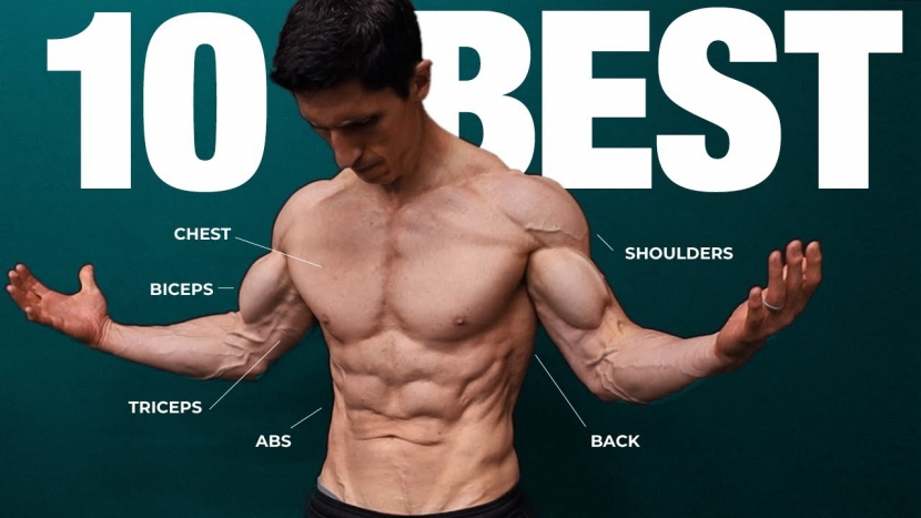 Best Calisthenics Exercises