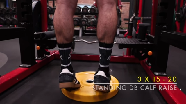 standing db calf raise