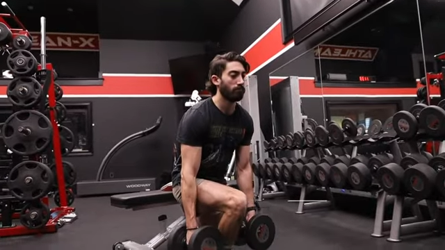 dumbbell bulgarian split squat