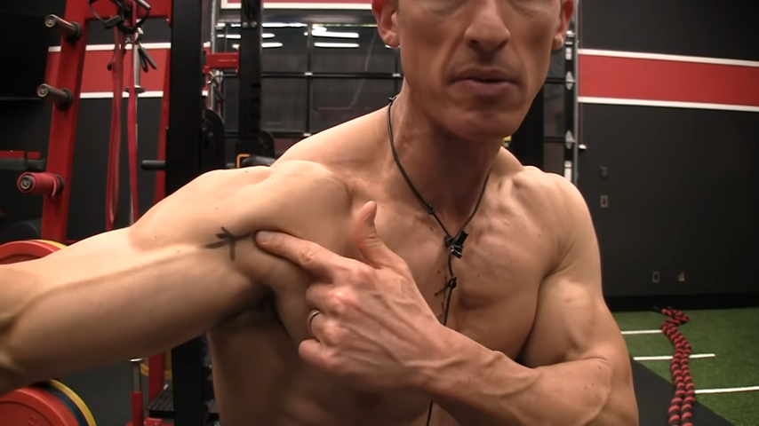 pec major insertion