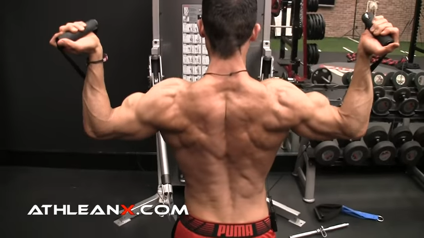 Best Rear Delt Exercises