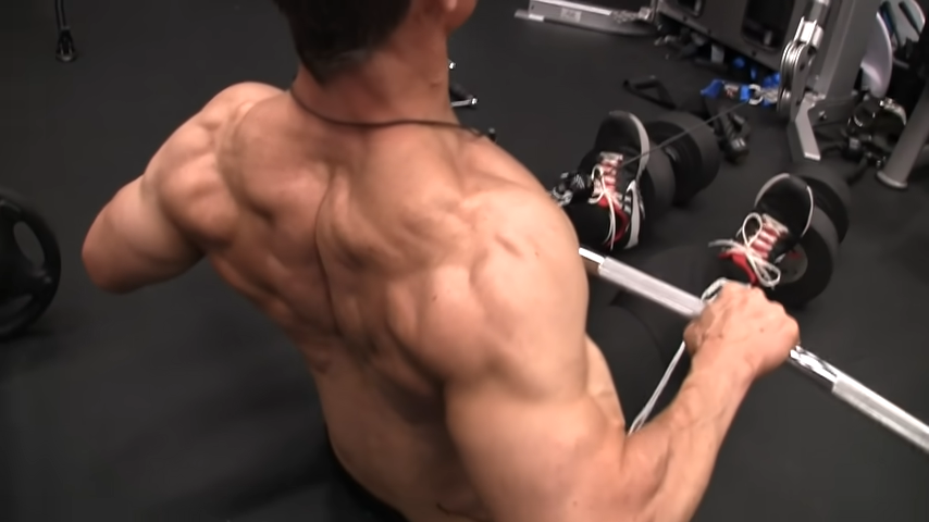 seated rear delt row