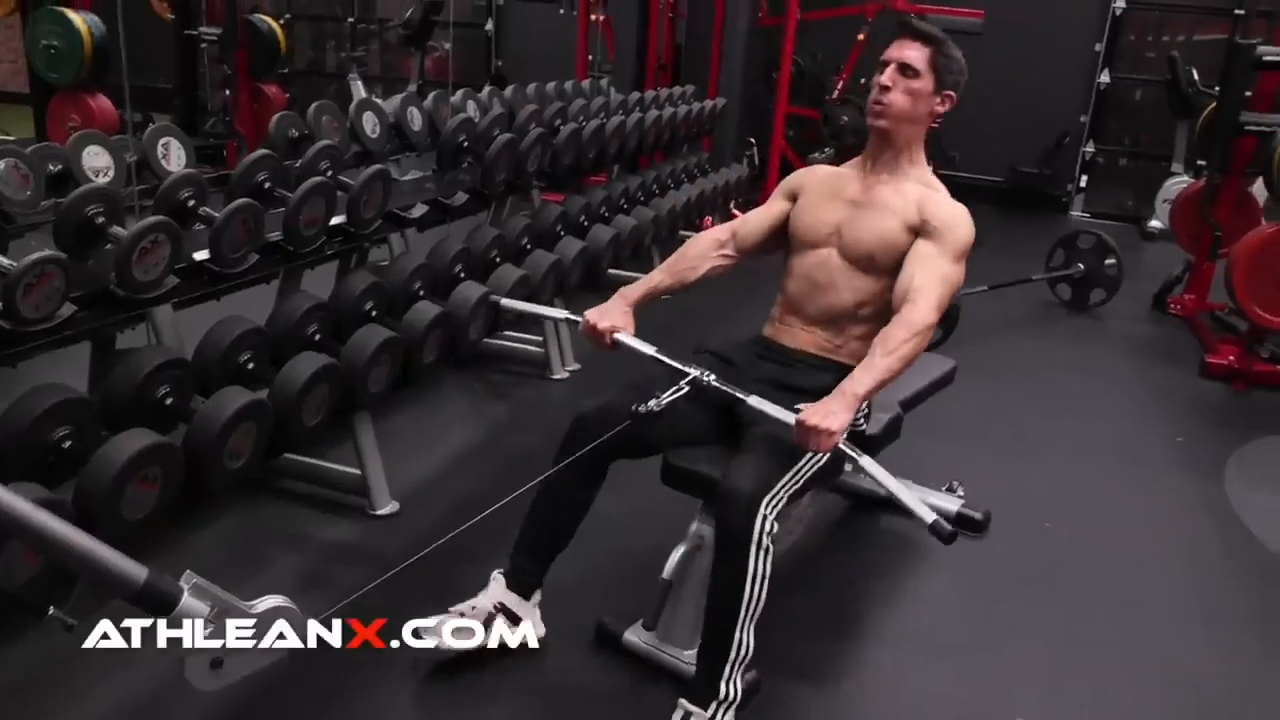 seated cable rows