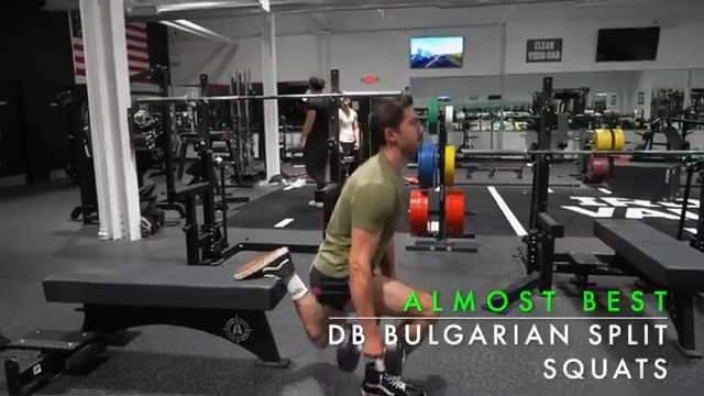 dumbbell bulgarian split squats